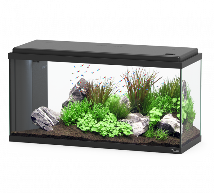 Zilver goedkeuren Terugspoelen AQUARIUM LED BIO :: Aquatlantis Aquarium - Aquariums & Accessories