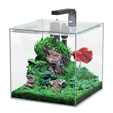 Aquarium aquatlantis Nano Cubic 30 mit Frostglasrückseite, LED