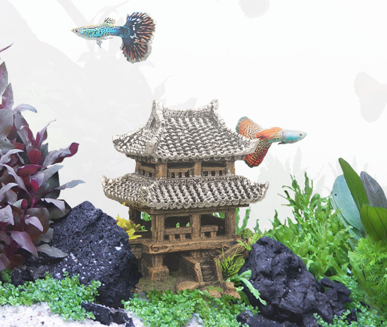 Asia :: Aquatlantis Aquarium - Aquariums & Accessories